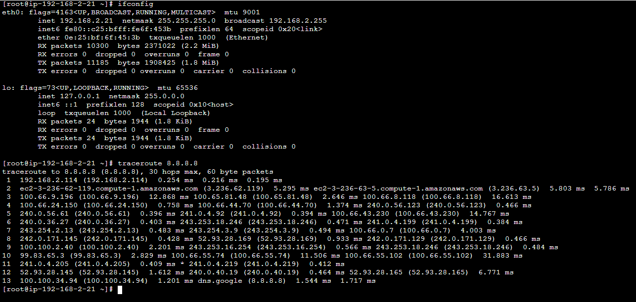 Test Server TraceRoute